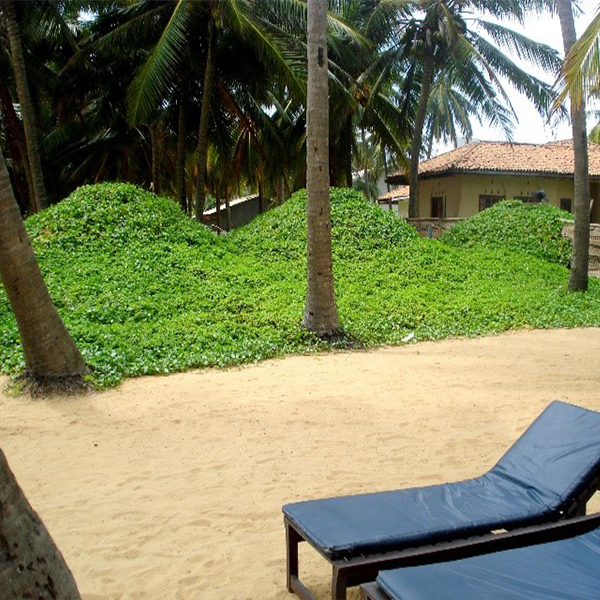 Golden Star beach hotel, Negombo(31 Cu.m per day)